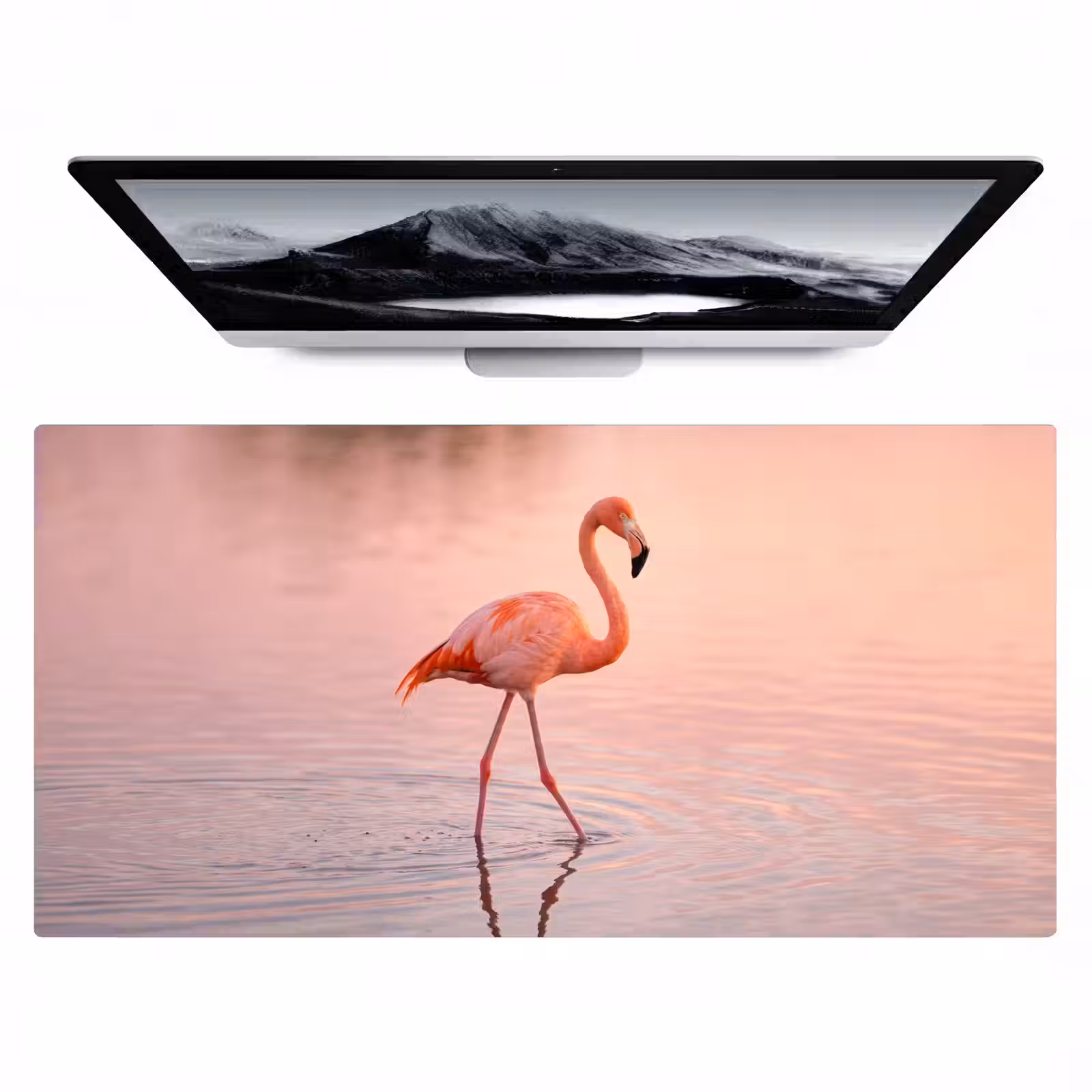 Bureau onderlegger - Flamingo - Water - Roze — 1