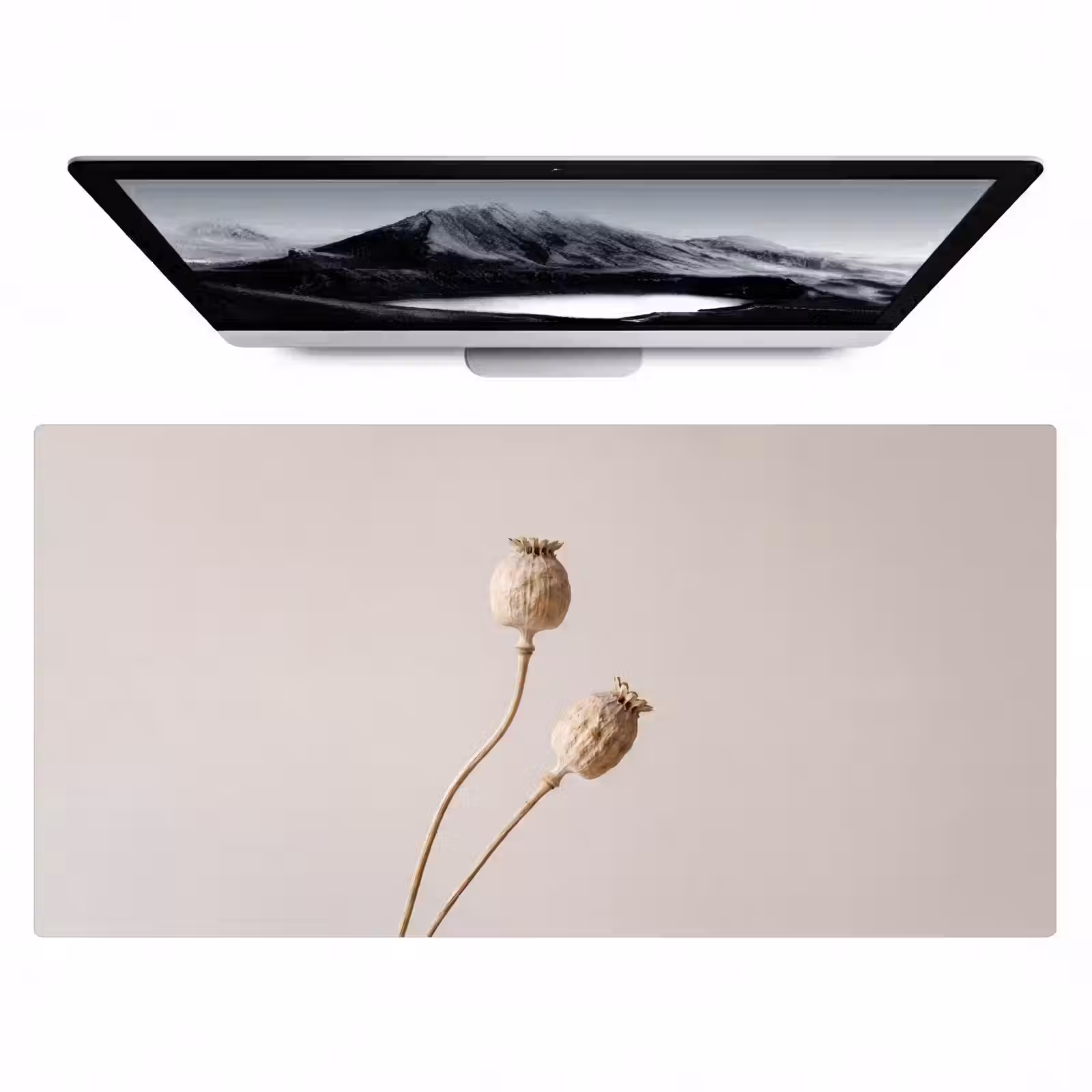 Bureau onderlegger - Papaverbollen - Droogbloemen - Minimalistisch - Beige - Rustig — 1
