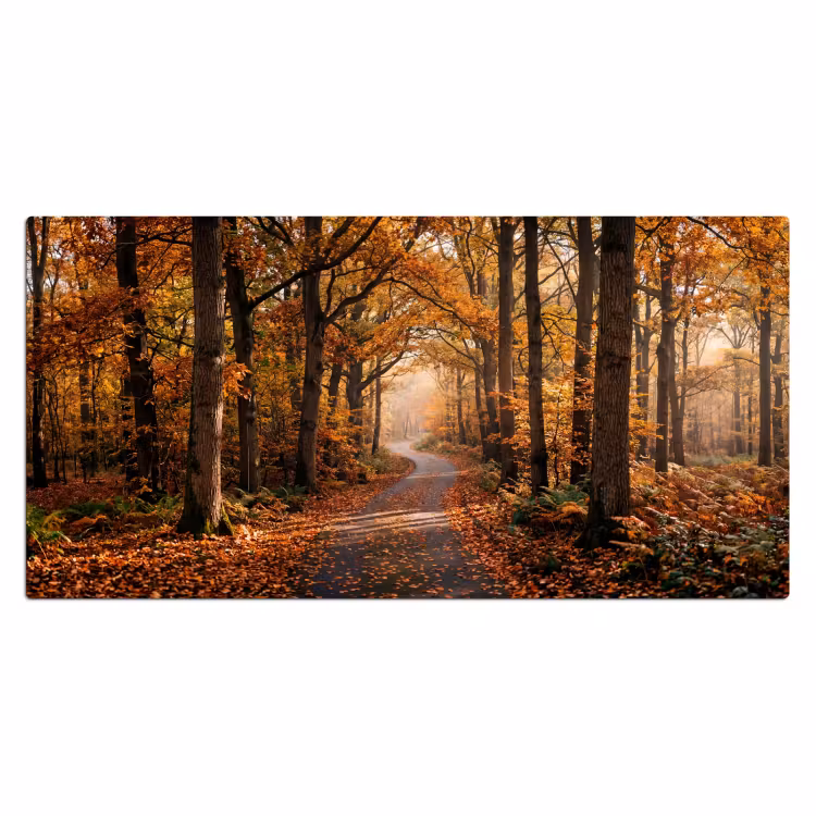 Bureau onderlegger - Bospad - Herfstbos - Bladeren - Oranje - Nostalgisch — 2