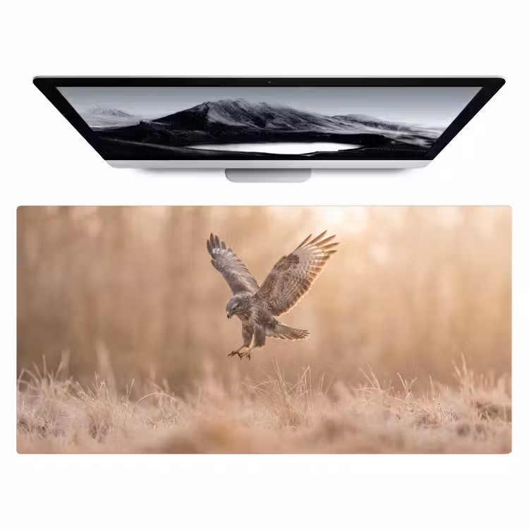 Bureau onderlegger - Buizerd - Roofvogel - Natuur - Bruin — 1