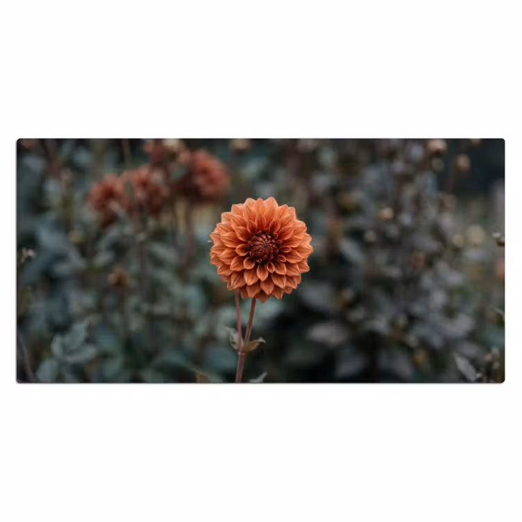 Bureau onderlegger - Dahlia - Bloem - Natuur - Sfeervol — 2