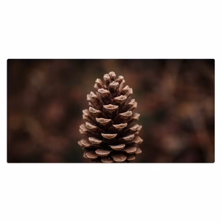 Bureau onderlegger - Dennenappel - Bos - Herfst - Bruin - Sfeervol — 2