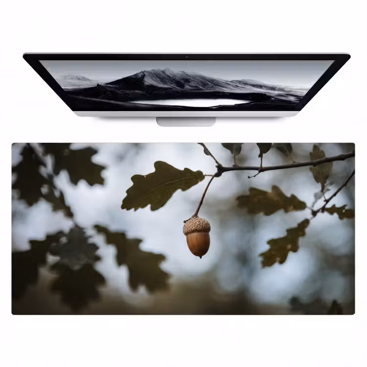 Bureau onderlegger - Eikel - Eikenblad - Bos - Herfst - Natuur — 1