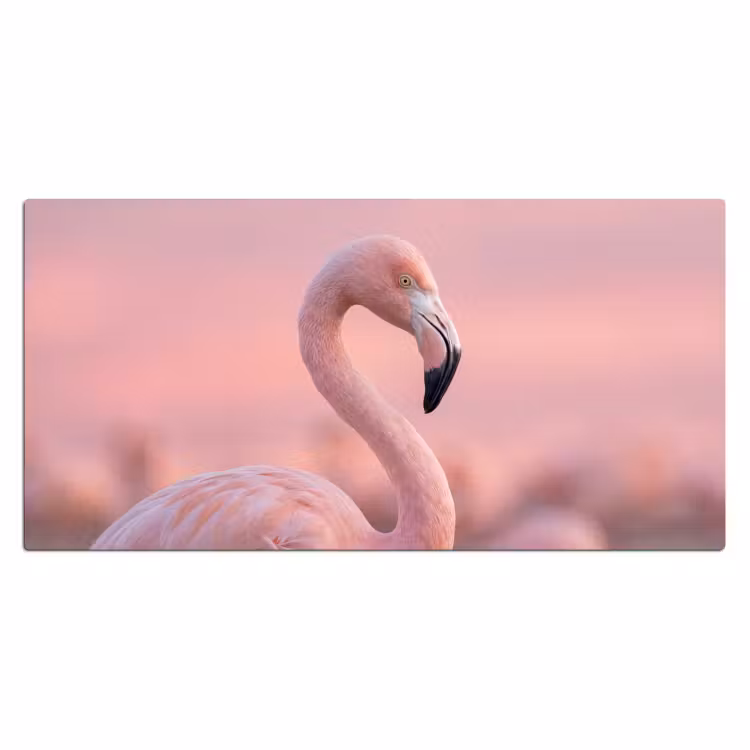 Bureau onderlegger - Flamingo - Portret - Roze — 2