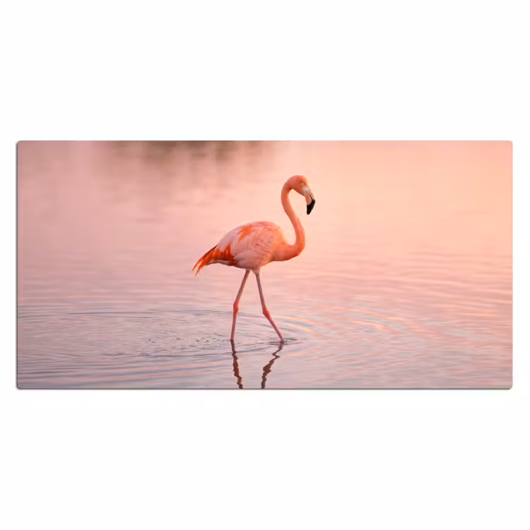 Bureau onderlegger - Flamingo - Water - Roze — 2