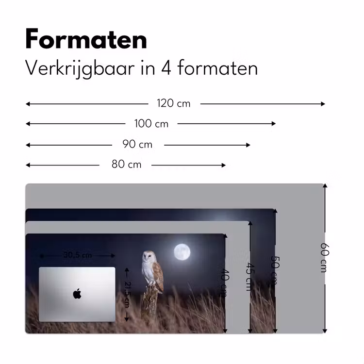 Bureau onderlegger - Kerkuil - Maan - Nacht — 8