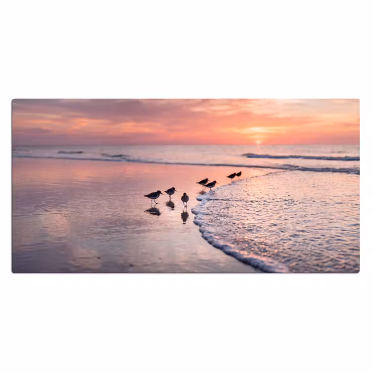 Bureau onderlegger - Meeuwen - Strand - Zee - Roze — 2