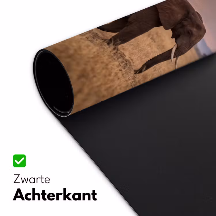Bureau onderlegger - Olifanten - Savanne - Zonsondergang - Afrika - Warm — 5