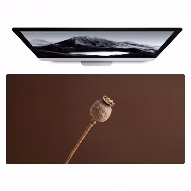 Bureau onderlegger - Papaverbol - Droogbloem - Bruin - Minimalistisch — 1