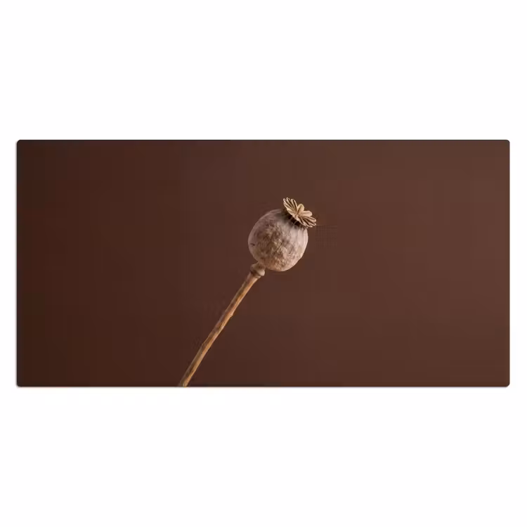 Bureau onderlegger - Papaverbol - Droogbloem - Bruin - Minimalistisch — 2