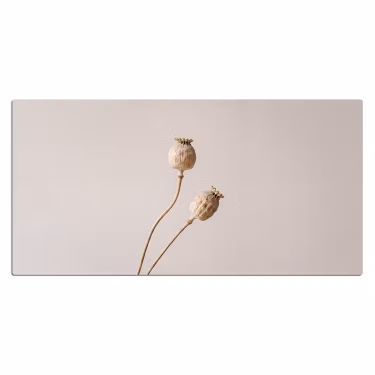 Bureau onderlegger - Papaverbollen - Droogbloemen - Minimalistisch - Beige - Rustig — 2