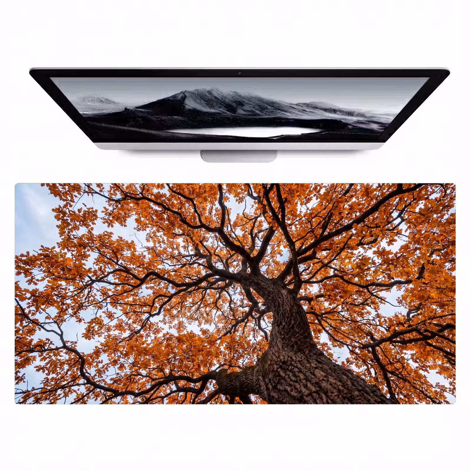 Bureau onderlegger - Boom - Bladerdak - Herfst - Oranje - Sfeervol — 1