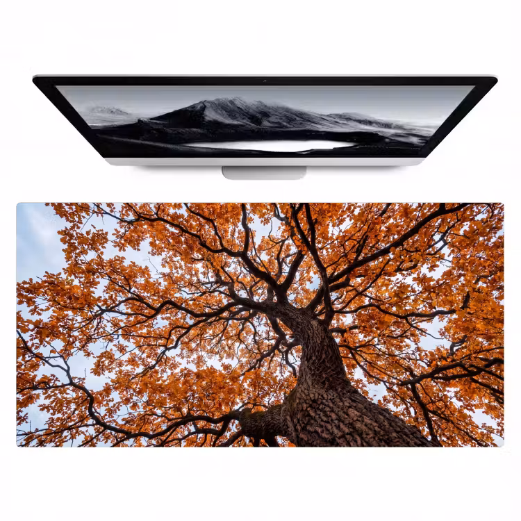 Bureau onderlegger - Boom - Bladerdak - Herfst - Oranje - Sfeervol — 1