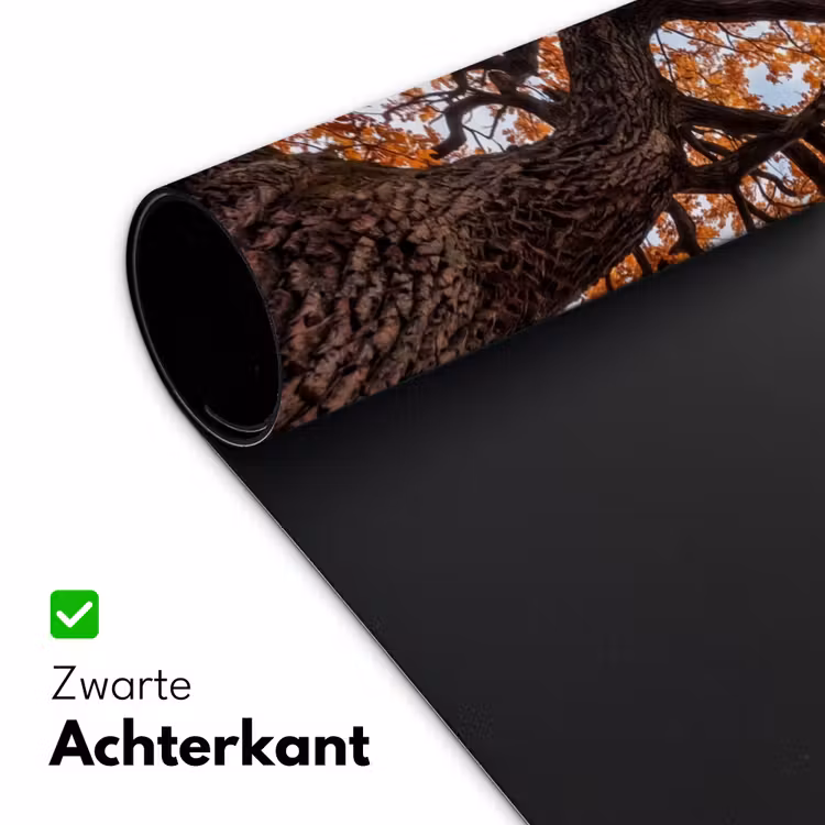 Bureau onderlegger - Boom - Bladerdak - Herfst - Oranje - Sfeervol — 5