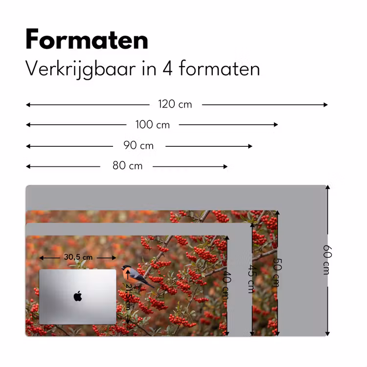 Bureau onderlegger - Goudvink - Bessen - Herfst - Natuur - Kleurrijk — 8