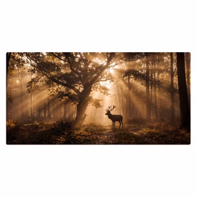 Bureau onderlegger - Hert - Bos - Mistig - Natuur - Goud — 2