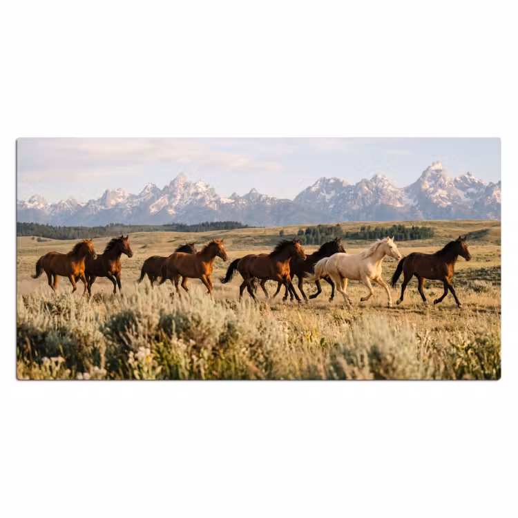 Bureau onderlegger - Paarden - Kudde - Bergen - Vrijheid - Wild — 2
