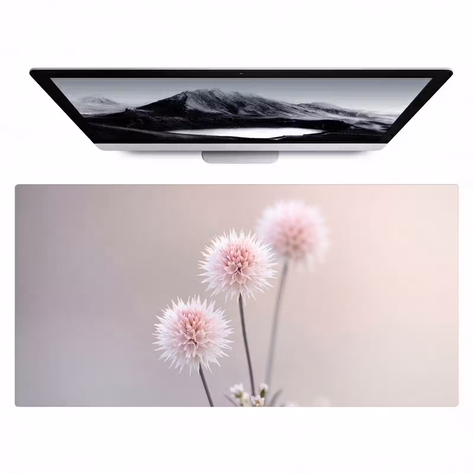 Bureau onderlegger - Bloemen - Bollen - Roze — 1