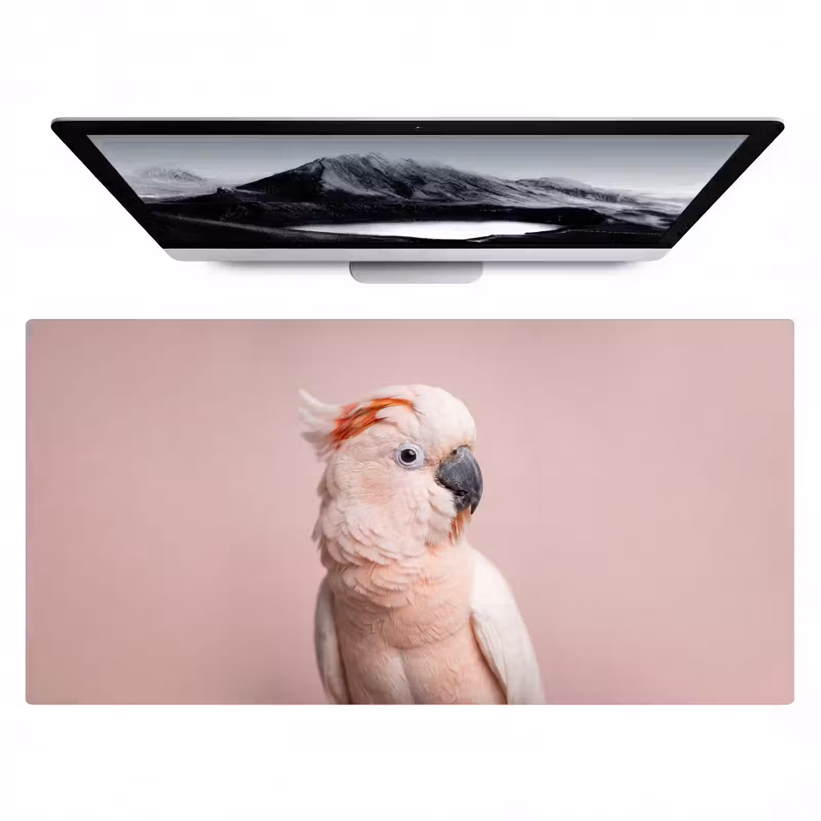 Bureau onderlegger - Kaketoe - Portret - Roze — 1