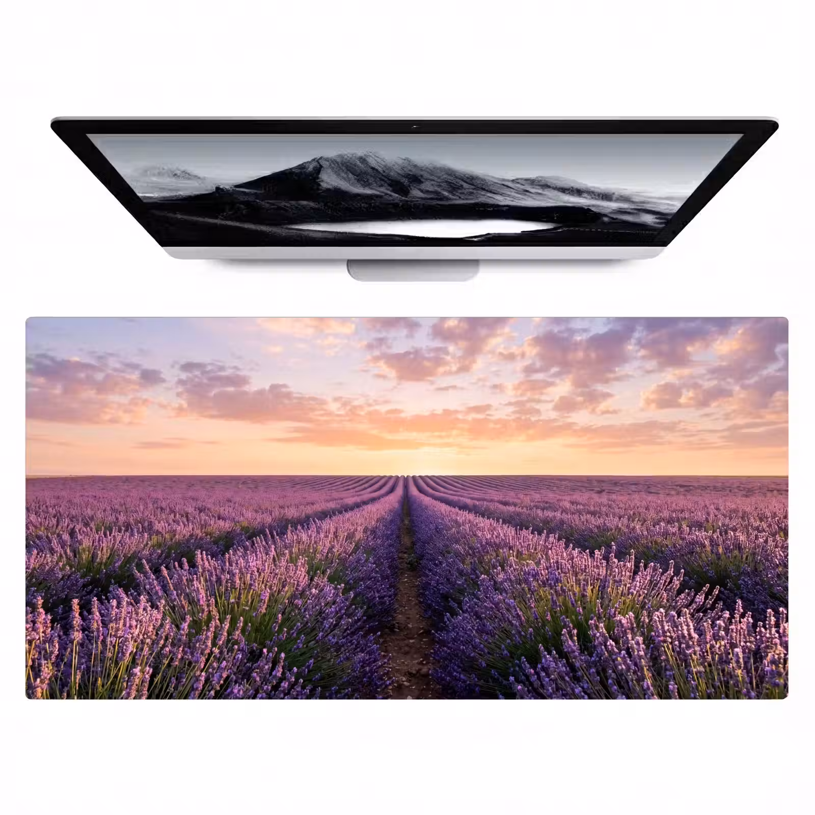 Bureau onderlegger - Landschap - Lavendelveld - Paars — 1