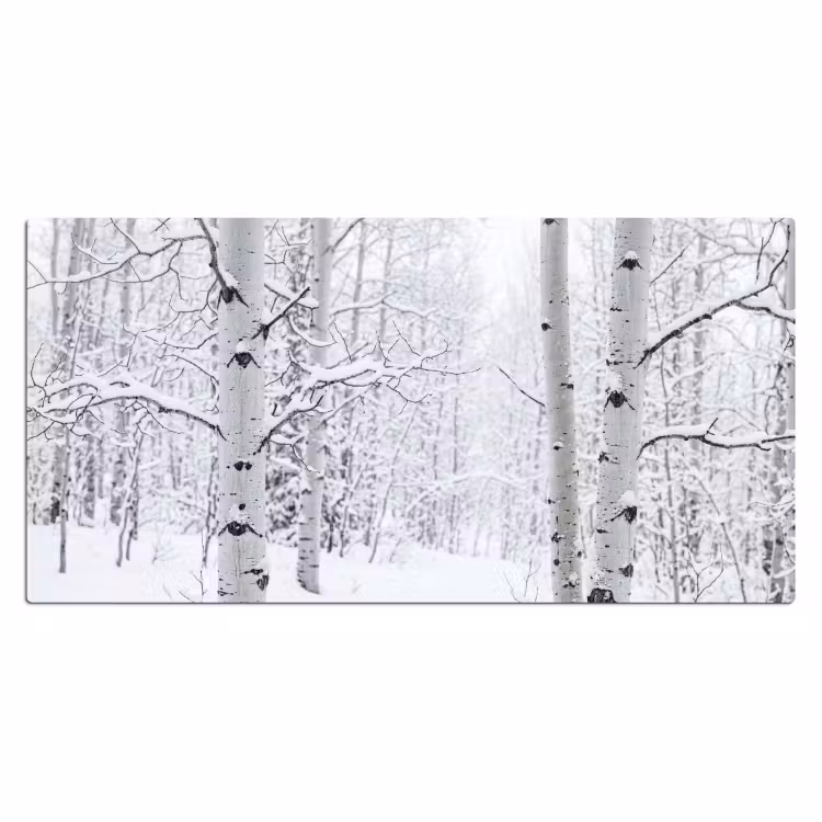 Bureau onderlegger - Berkenbomen - Sneeuw - Winter - Bos - Wit — 2