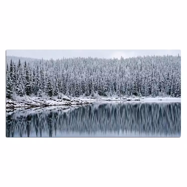 Bureau onderlegger - Bos - Reflectie - Meer - Winter - Serene — 2