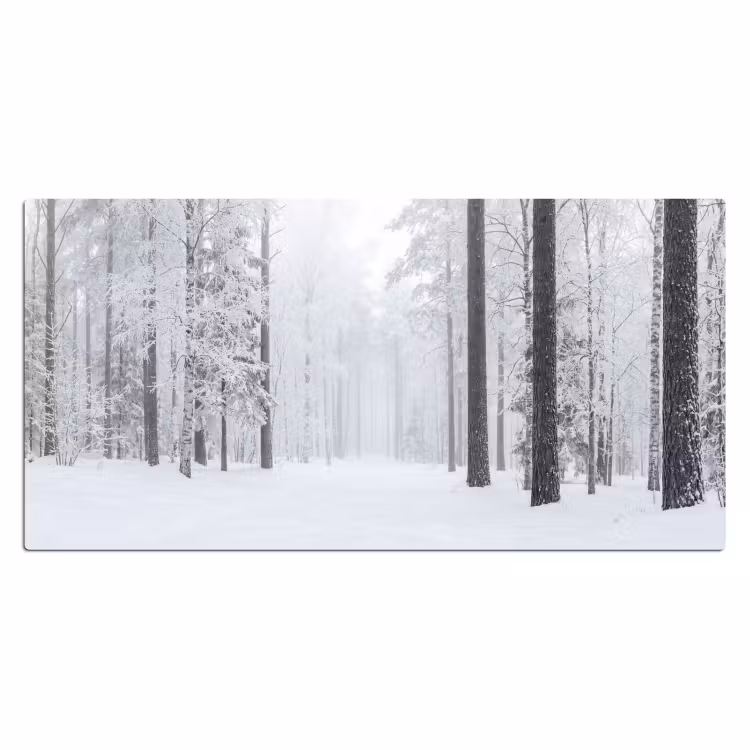 Bureau onderlegger - Bos - Sneeuw - Pad - Winter - Stilte — 2