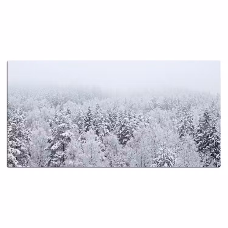 Bureau onderlegger - Bos - Sneeuw - Winter - Natuur - Wit — 2