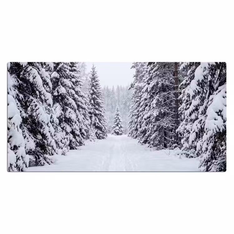 Bureau onderlegger - Bos - Winter - Sneeuw - Pad - Natuur — 2