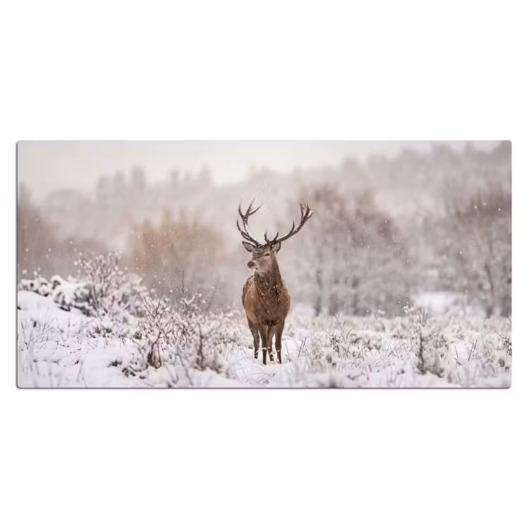 Bureau onderlegger - Edelhert - Bos - Sneeuw - Winter - Majestueus — 2