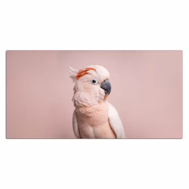 Bureau onderlegger - Kaketoe - Portret - Roze — 2
