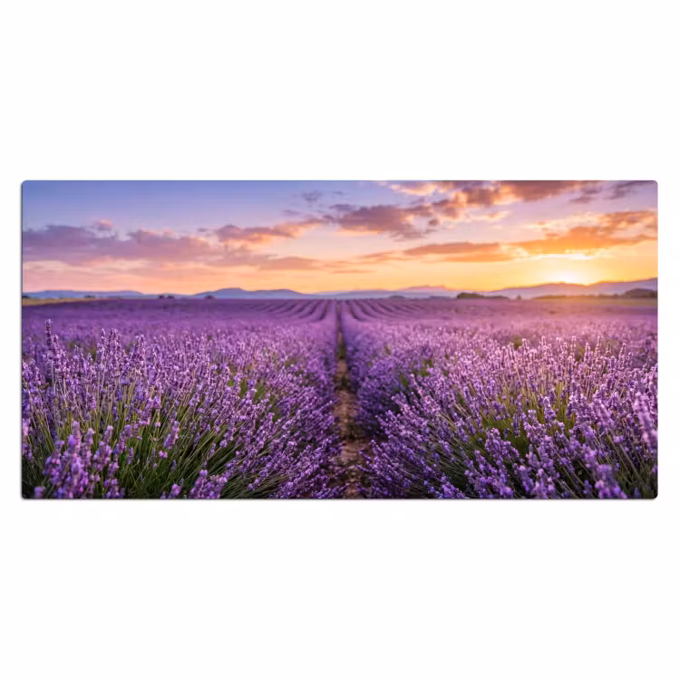 Bureau onderlegger - Lavendel - Veld - Natuur - Paars — 2