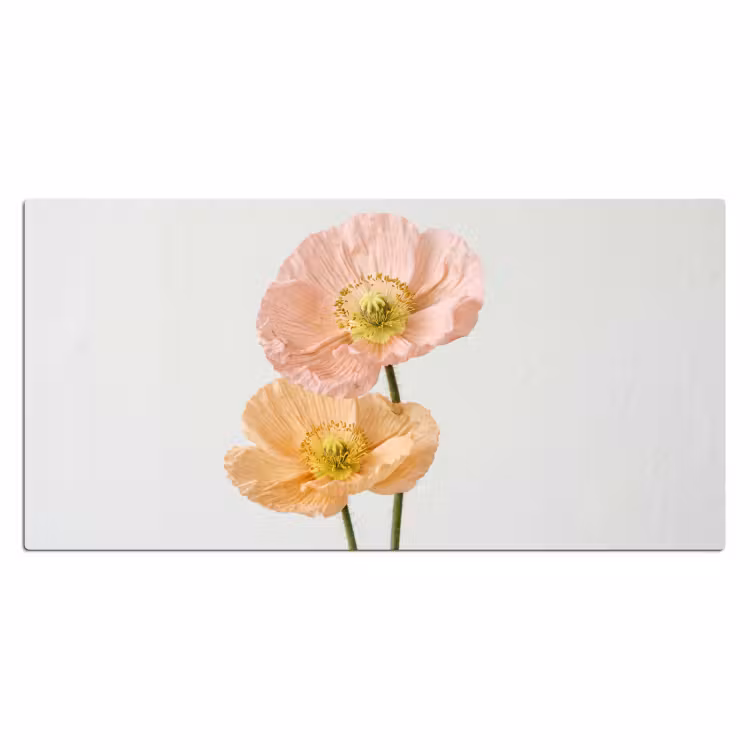 Bureau onderlegger - Papavers - Botanisch - Roze — 2