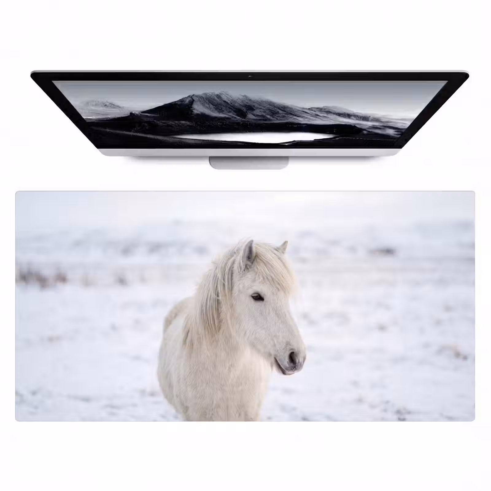 Bureau onderlegger - Paard - Kop - Winter - Dieren - Wit — 1