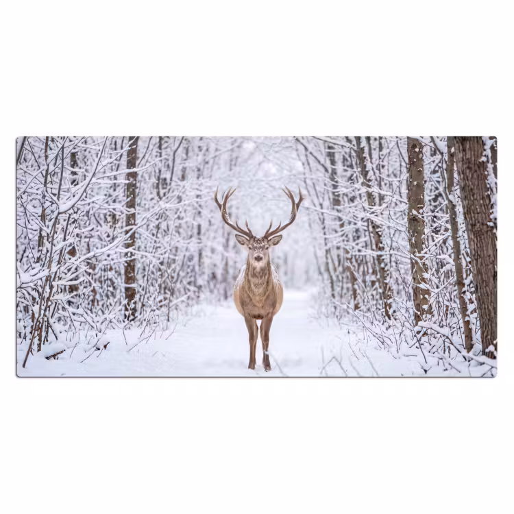 Bureau onderlegger - Hert - Winter - Bos - Natuur - Wit — 2