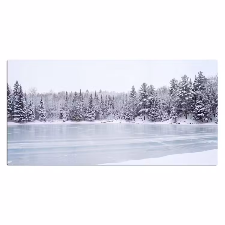 Bureau onderlegger - Meer - Dennen - IJs - Winter - Rustgevend — 2