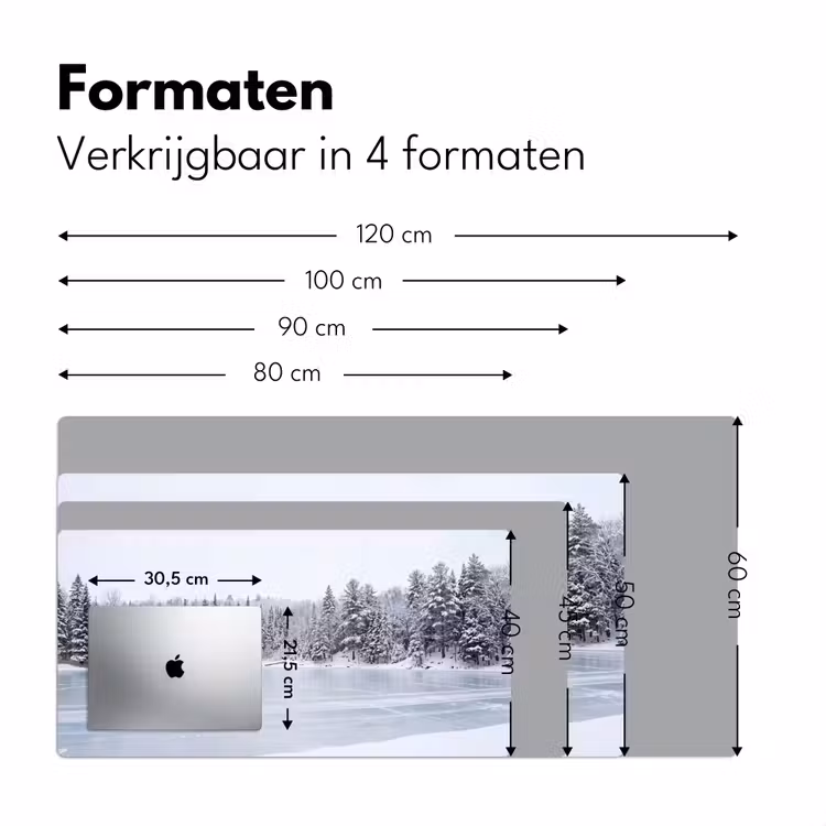 Bureau onderlegger - Meer - Dennen - IJs - Winter - Rustgevend — 8