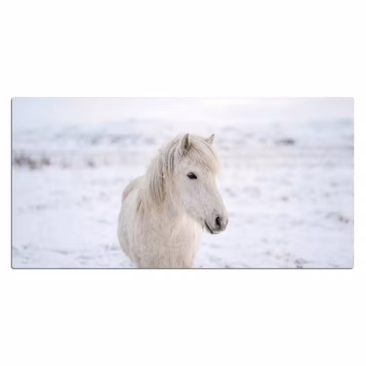 Bureau onderlegger - Paard - Kop - Winter - Dieren - Wit — 2