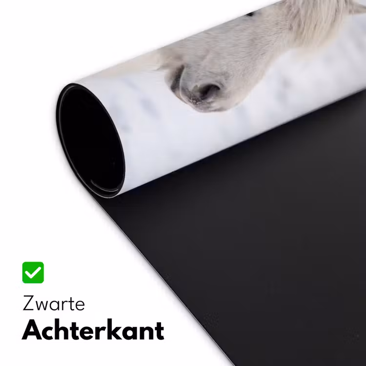 Bureau onderlegger - Paard - Kop - Winter - Dieren - Wit — 5