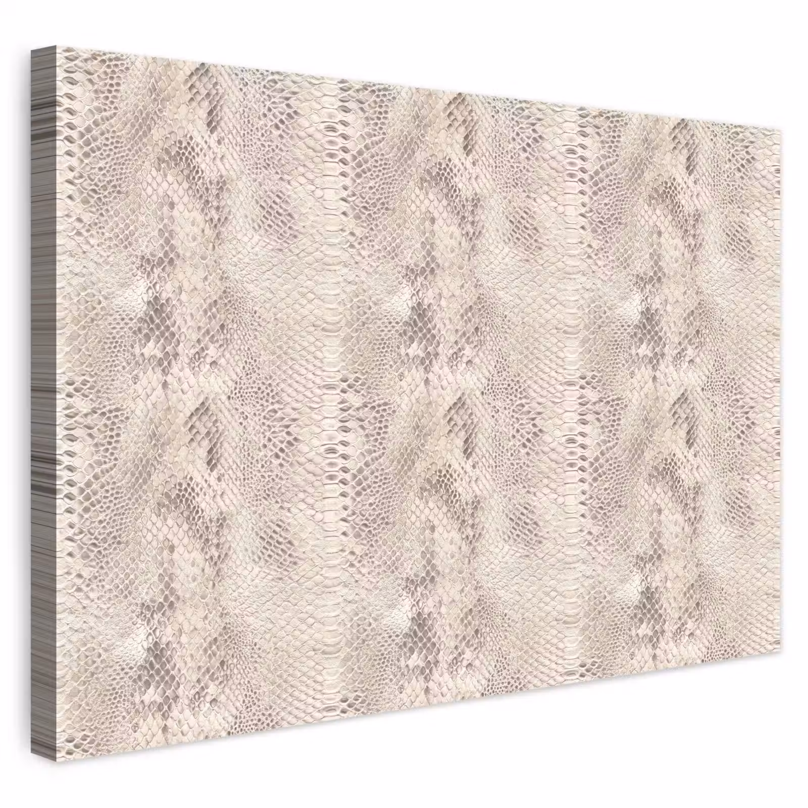 Buiten canvas - Slang - Patroon - Beige — 1