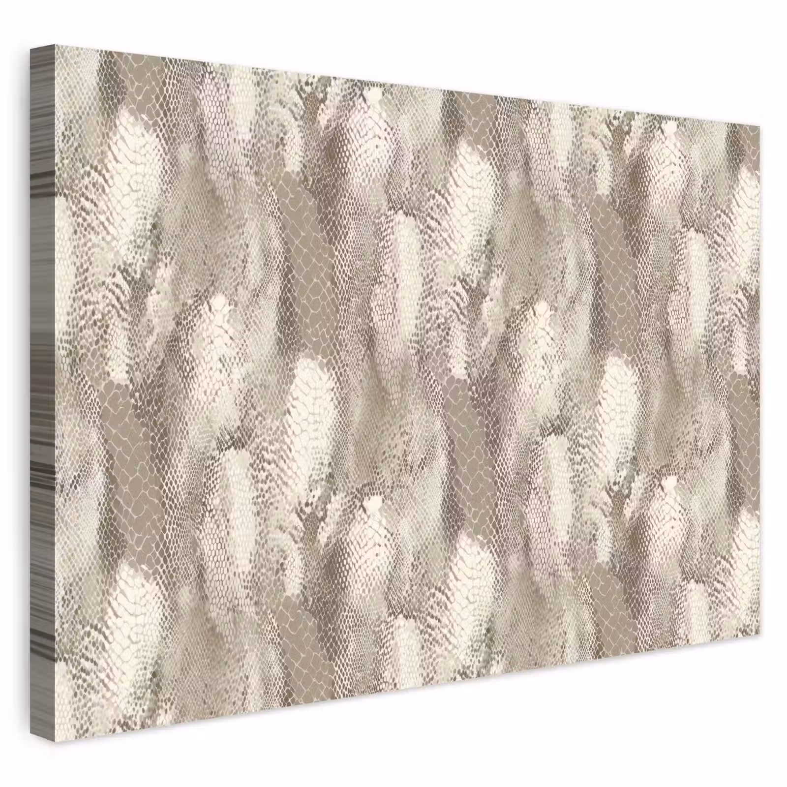 Buiten canvas - Slang - Textuur - Zand — 1