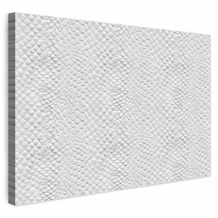 Buiten canvas - Slang - Patroon - Wit — 1