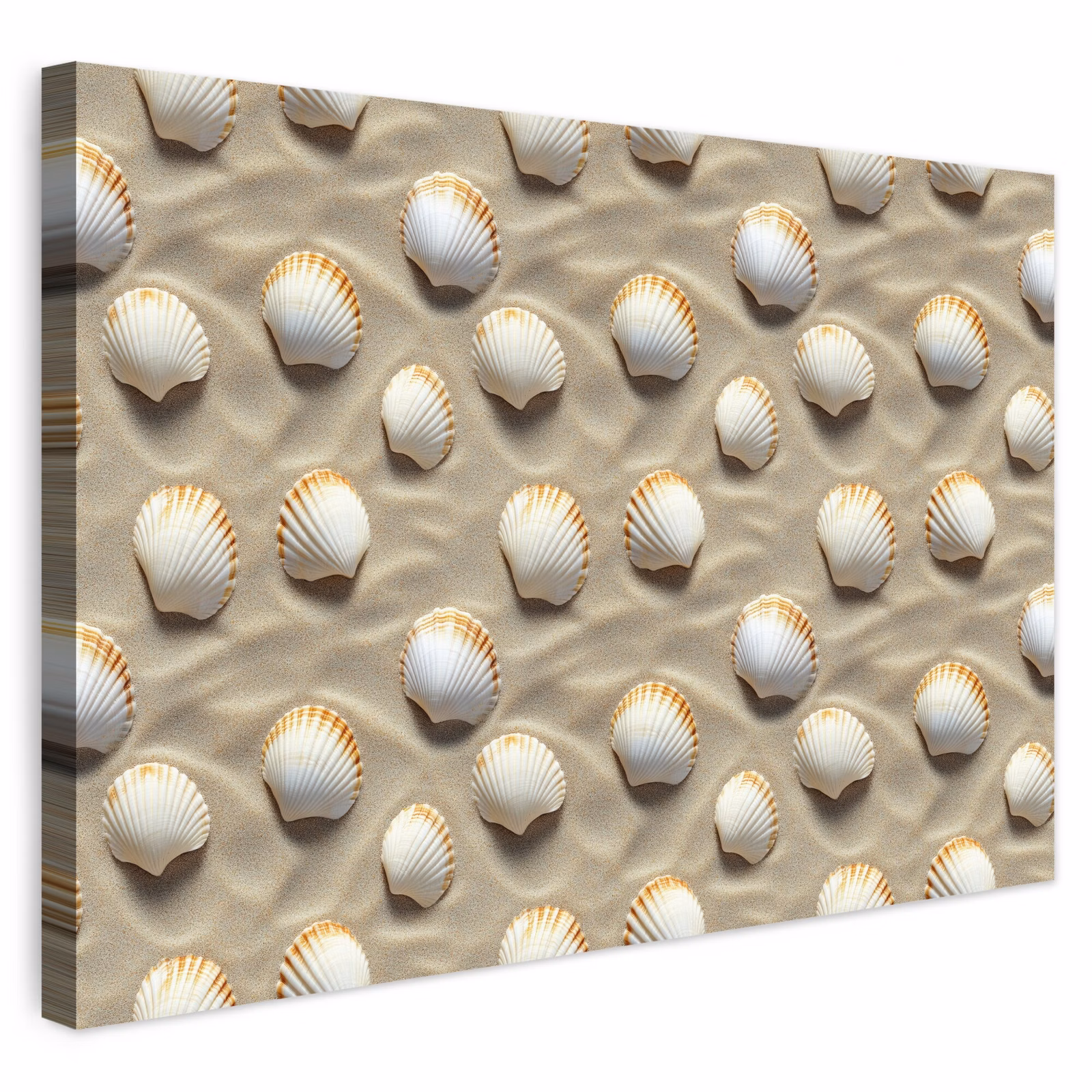 Buiten canvas - Schelpen - Zand - Maritiem — 1