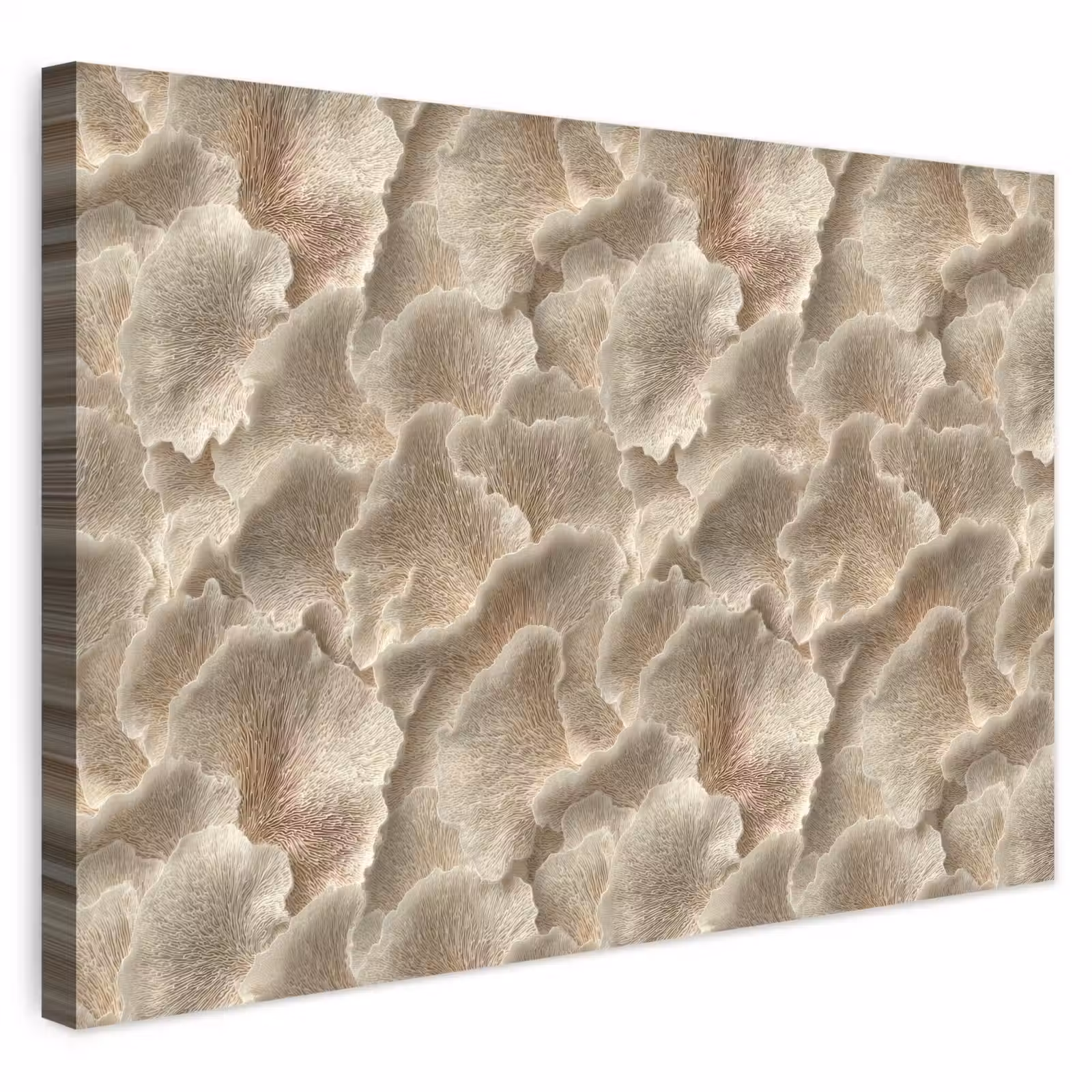 Buiten canvas - Waaierstructuren - Beige - Vezeltextuur — 1