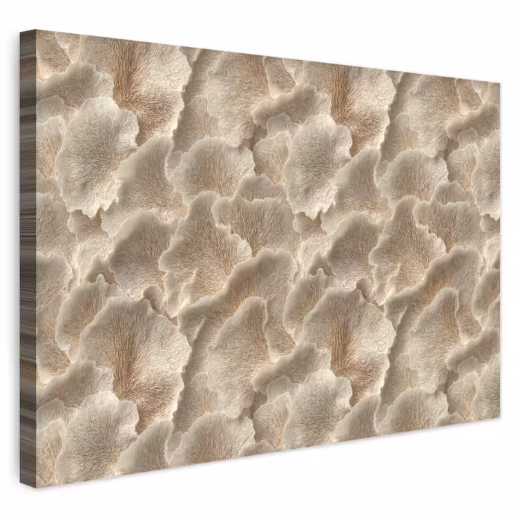 Buiten canvas - Waaierstructuren - Beige - Vezeltextuur — 1