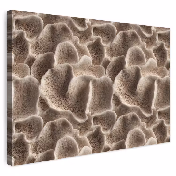 Buiten canvas - Waaiervorm - Beige - Vezel textuur — 1