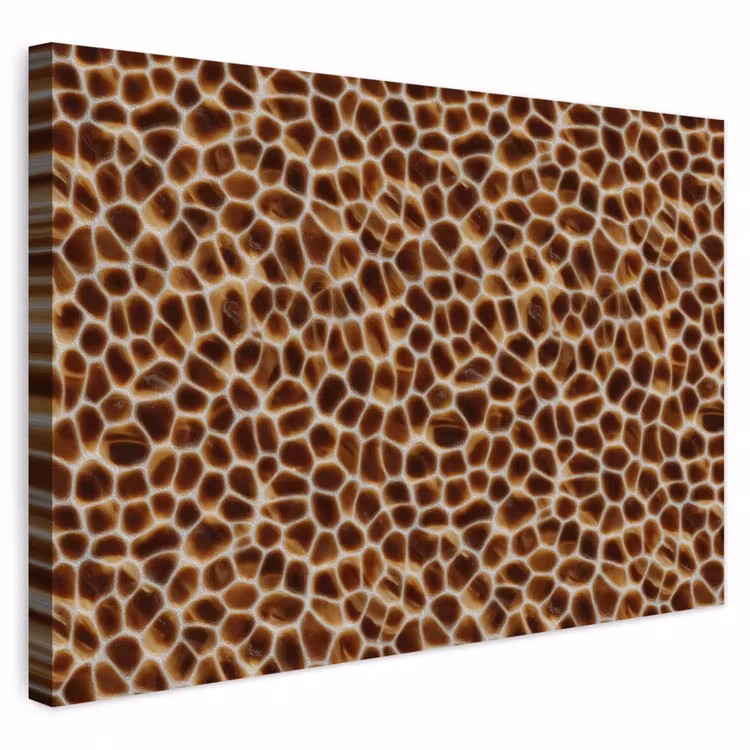 Buiten canvas - Schildpad - Bruin - Patroon — 1