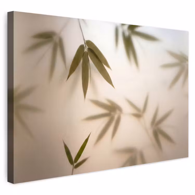 Buiten canvas - Planten - Bladeren - Natuur - Groen — 1