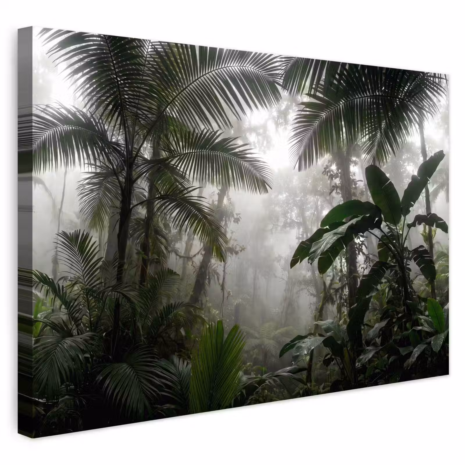 Buiten canvas - Natuur - Jungle - Mist - Groen - Bladeren — 1