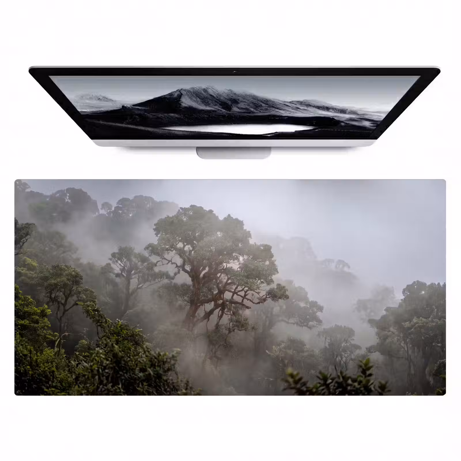 Bureau onderlegger - Boom - Mistig - Bos - Groen - Natuur — 1